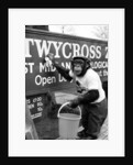 Twycross Zoo Chimpanzee cleaning. by Staff