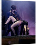 Prince Pop Star by Unknown