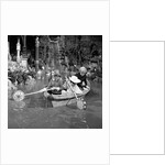 Willy Wonka & the Chocolate Factory by Arthur Sidey