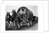 Gypsies by NCJ Archive