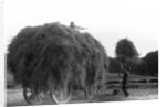 Haymaking at Penshurst July 1939 by Bernard Alfieri