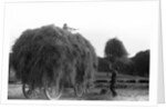 Haymaking at Penshurst July 1939 by Bernard Alfieri