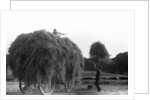 Haymaking at Penshurst July 1939 by Bernard Alfieri