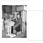 Pygmalion by Harold Tomlin