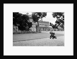 Cliveden, Buckinghamshire, 1963. by Brian Randle