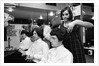 The Kinks by Douglas Eatwell