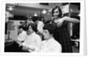 The Kinks by Douglas Eatwell