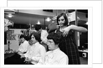 The Kinks by Douglas Eatwell