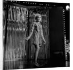 Dusty Springfield by Unknown