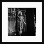 Dusty Springfield by Unknown