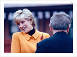Princess Diana 1995 by Martin Birchall