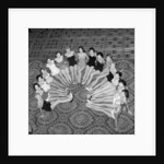 Miss World Beauty Competition 1958 by Arthur Sidey