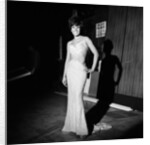 Shirley Bassey by Ray Weaver