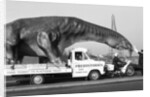 Dinosaur on the move in Kent by Ron Burton