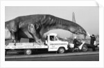Dinosaur on the move in Kent by Ron Burton