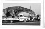 Dinosaur on the move in Kent by Ron Burton