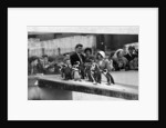 Penguins at London Zoo, 1959 by Tanner