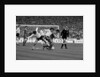 Liverpool v Manchester United, 1983 by Cook / Olley