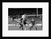 Liverpool v Manchester United, 1983 by Cook / Olley
