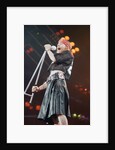 Guns N' Roses on stage, 1992 by Nigel Wright