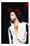 Prince at the NEC by Patrick Neame