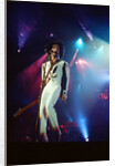 Prince at the NEC by Patrick Neame