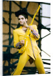 Prince, 1992 by Christian Cooksey