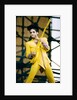 Prince, 1992 by Christian Cooksey