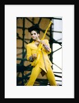 Prince, 1992 by Christian Cooksey