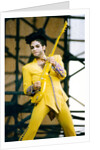 Prince, 1992 by Christian Cooksey