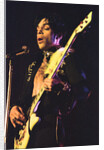 Prince at the NEC by Staff
