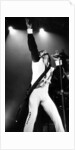 Prince, 1990 by Staff