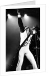 Prince, 1990 by Staff