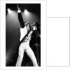 Prince, 1990 by Staff
