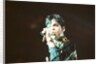 Prince performing on stage during his 'Ultimate Live Experience Tour' by Richard Nelmes