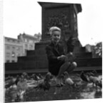 Tippi Hedren by Staff