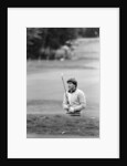 Golf 1983 by Peter Stone