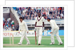 England v West Indies, 24th May 1991 by Brendan Monks