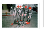 Devo, 1981 by Laurence Cottrell