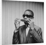 Stevie Wonder by Charlie Ley
