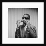 Stevie Wonder by Charlie Ley