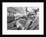 Bobby Charlton holding a rose in a greenhouse by Anonymous