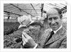 Bobby Charlton holding a rose in a greenhouse by Anonymous