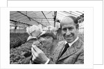 Bobby Charlton holding a rose in a greenhouse by Anonymous