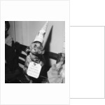 Sally the dog by Maurice Tibbles