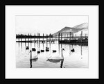 Derwentwater by NCJ