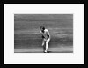 Ian Botham claims another victim by Anonymous