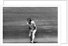 Ian Botham claims another victim by Anonymous