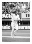 The Ashes. England v Australia 4th Test match by Anonymous