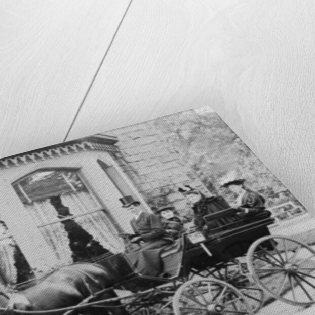 Women and a coachman in a pony and trap, late 19th century by Unknown